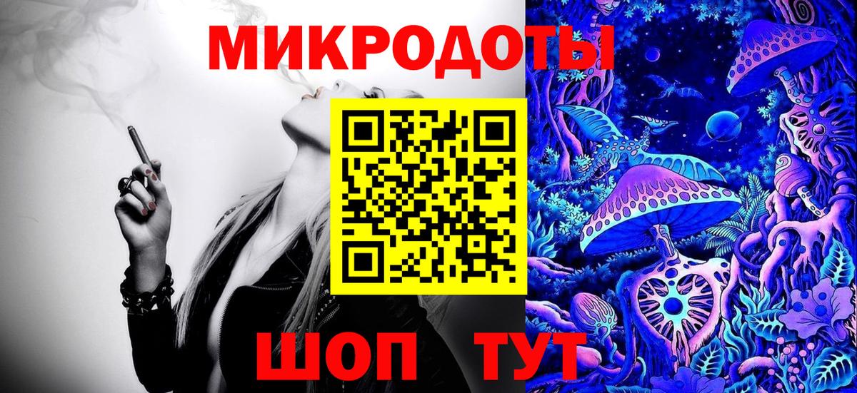 Псилоцибиновые грибы Psilocybe Кимовск